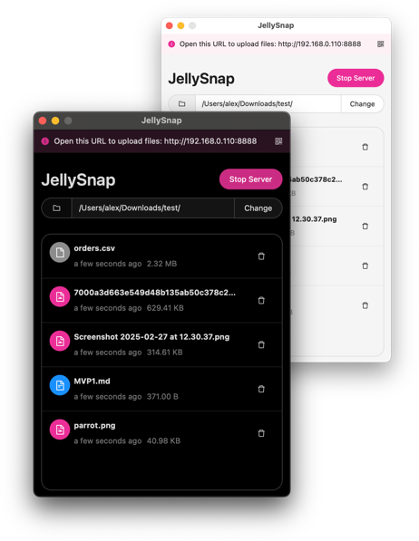 JellySnap Interface - File transfer application showing uploaded files and server status